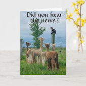 RUMOR IS DAT **40e BIRTHDAY** NIET ZO SLECHT Kaart (Gele Bloem)