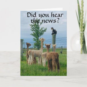 RUMOR IS DAT **40e BIRTHDAY** NIET ZO SLECHT Kaart