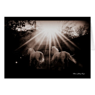 ~Run Andalusiaanse run~