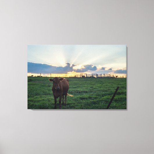 Rundvee Boerderij Sunset Canvas Afdruk (Voorkant)