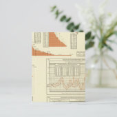 Rundvee Briefkaart (Staand voorkant)