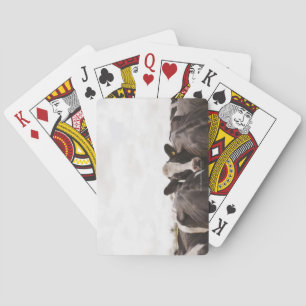 Rundvee en overbelaste hemel 2 speelkaarten