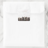 Rundvee en overbelaste hemel 2 vierkante sticker (Tas)
