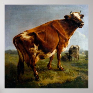 Rundvee Grazing in het grasland Poster