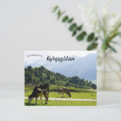 Rundvee in een weide in Kirgizië Briefkaart (Staand voorkant)