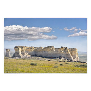 Rundvee in Monument Rocks, Kansas Foto Afdruk