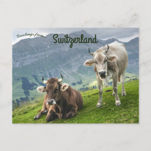 Rundvee in Zwitserland Briefkaart