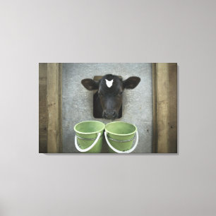 Rundvee, individuele pen canvas afdruk