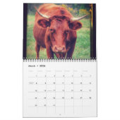 Rundvee Kalender (Mar 2026)