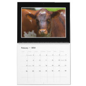 Rundvee Maandelijkse kalender 2018 van Thomas Minu (Feb 2026)