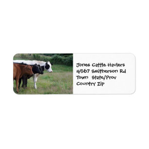 Rundvee met Boerderij of Ranch Sticker