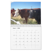 Rundvee op ranch kalender (Mar 2026)