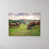 Rundvee op zonsondergang canvas afdruk (Voorkant)