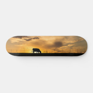 Rundvee Sunset Silhouet Skateboard