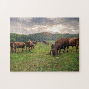Rundvee van de Pond op zonsondergang Legpuzzel