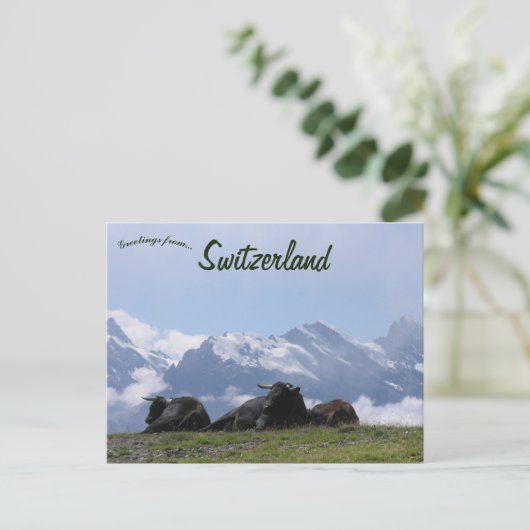Rundvee Zwitserse Alpen Zwitserland Briefkaart (Staand voorkant)
