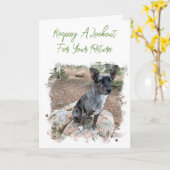 Rundveehond Foto Placeholder Mist Jou Sjabloon (Gele Bloem)