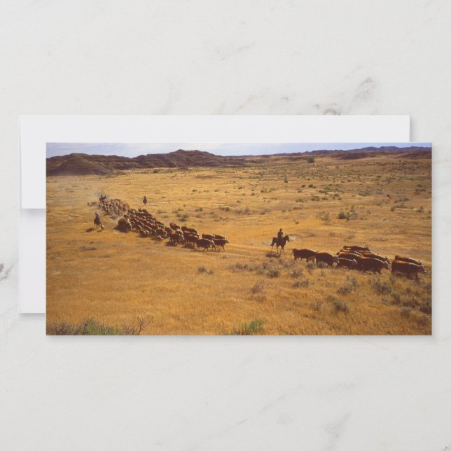 Rundveepomp (Voorkant)