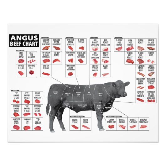 Rundvlees Foto Afdruk (Voorkant)