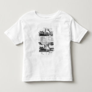 Rundvlees, Vee, Varkensvlees en Mutton Cuts, 1802 Kinder Shirts