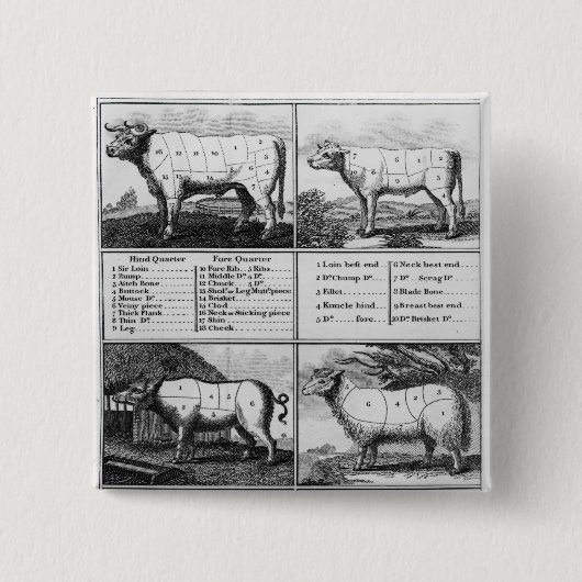 Rundvlees, Vee, Varkensvlees en Mutton Cuts, 1802 Vierkante Button 5,1 Cm (Voorkant)
