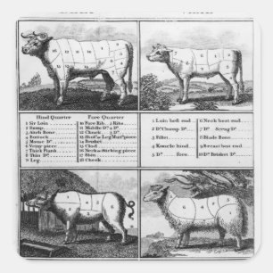 Rundvlees, Vee, Varkensvlees en Mutton Cuts, 1802 Vierkante Sticker