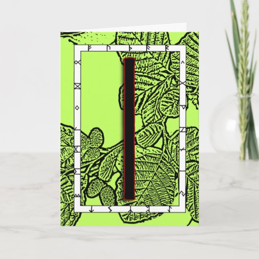 Rune Isa - Carte d'humidité (Devant)