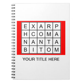 Rune Spiraal Notebook Notitieboek