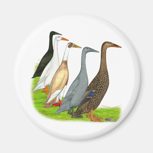 Runner Duck Assortation Magneet (Voorkant)