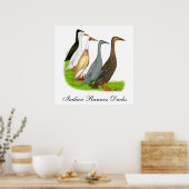 Runner Duck Assortation Poster (Keuken)