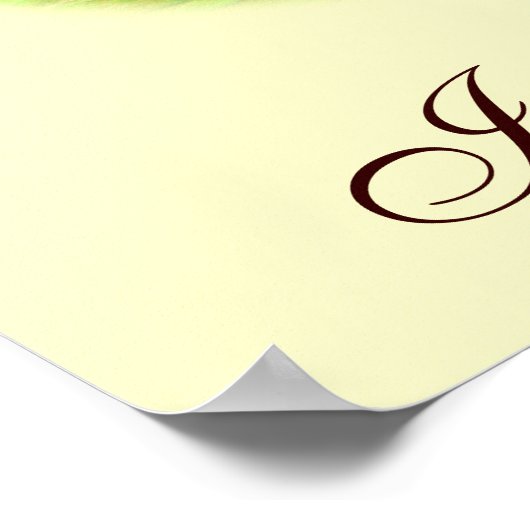 Runner Duck Assortation Poster (Hoek)