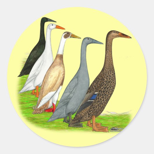 Runner Duck Assortation Ronde Sticker (Voorkant)