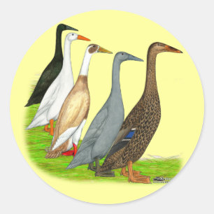 Runner Duck Assortation Ronde Sticker
