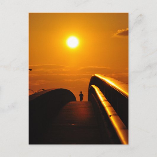 Runner Sunset Delight Bridge Daytona Carte postale (Devant)