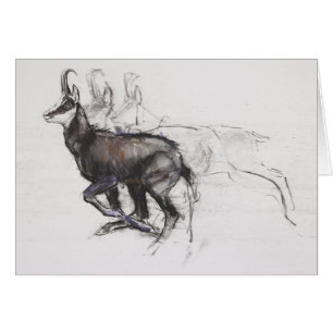 Running Chamois