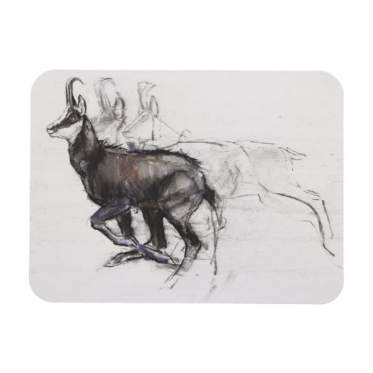 Running Chamois Magneet (Horizontaal)