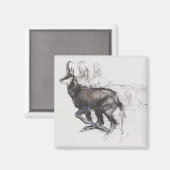 Running Chamois Magneet (Voorkant / Achterkant)