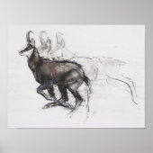 Running Chamois Poster (Voorkant)