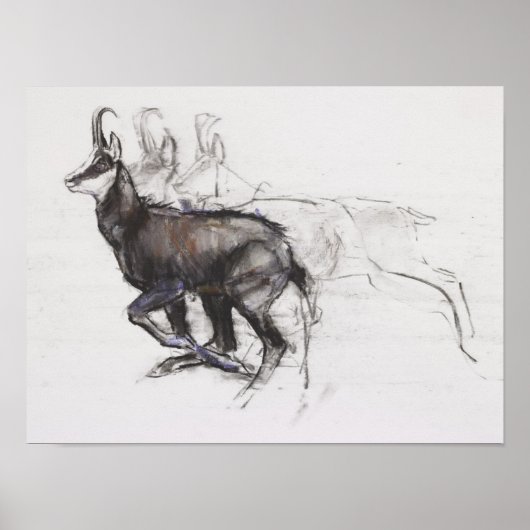 Running Chamois Poster (Voorkant)