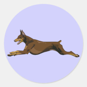 Running Doberman, rood Ronde Sticker