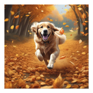 Running Dog in Autumn Leaves Art Print, Natuur Art Foto Afdruk