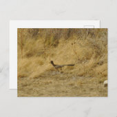 Running Roadrunner-Briefkaart Briefkaart (Voorkant / Achterkant)