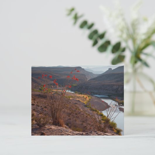 Running Through Chihuahuan Desert Briefkaart (Staand voorkant)