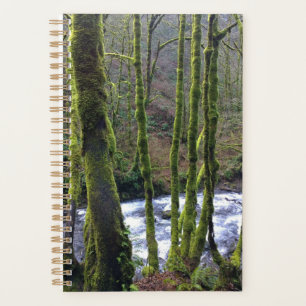 Runoff from Bridal Veil Falls