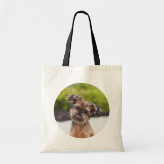 Rup Up and Go Brussels Griffon Canvas tas