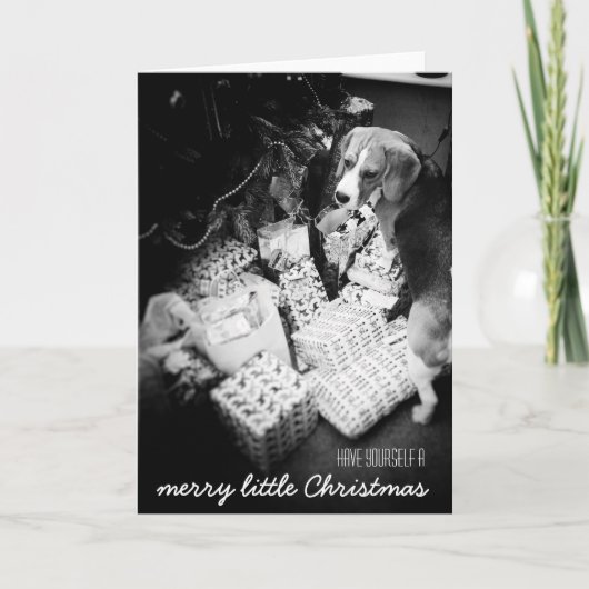 Rupert de Beagle Christmas Kaart (Voorkant)