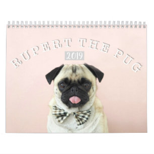 Rupert de wandkalender van Pug 2019 Kalender