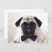 Rupert La Carte Postale Carlin (Devant / Derrière)