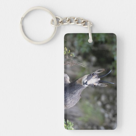 Rupicapra rupicapra sleutelhanger (Voorkant)