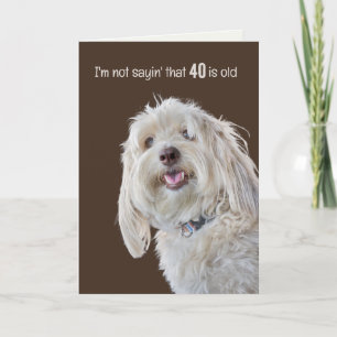 Rupige Poodle voor 40e verjaardag humor Kaart